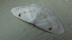 Geometrid Moth
