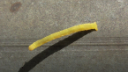 Inchworm