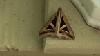 Triangles Moth