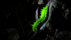 Emperor Moth Caterpillar