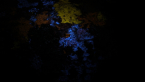 UV Lichens