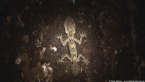 Southern Leaf-tailed Gecko