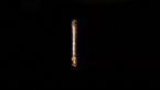 Unidentified Larva