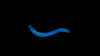 Ultra Violet Millipede