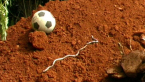 Giant Earthworm