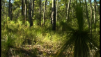 Heath Land