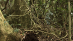 Palm Grove 8