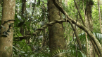 Palm Grove 9