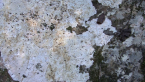 Joalah Rock 4