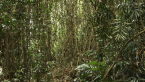 Palm Grove 3
