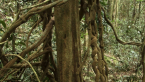 Palm Grove 6