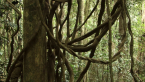 Palm Grove 7