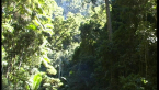 Deep in Gunaba Gorge