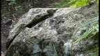 Volcanic Rock