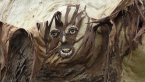 Flooded Gum with 'green man'