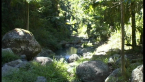 Guanaba Creek