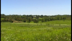 Meadow 2