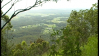 Near View
