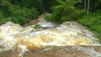 Torrent, Cedar Creek