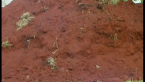 Red Earth