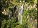 Tamborine Mountain