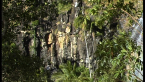 Basalt Columns- Cameron Falls