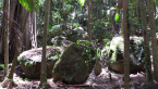 Volcanic Rocks 1