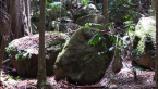 Volcanic Rocks 2